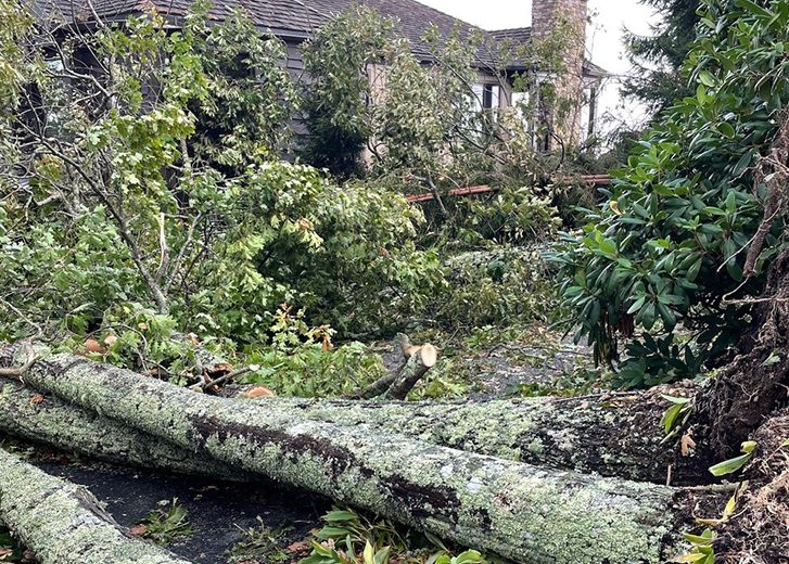 Helene damage at James' home